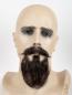 Preview: Chin Beard With Matching Moustache