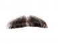 Preview: Moustache, short