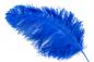 Preview: Ostrich feathers, length 25/40 cm, different colours