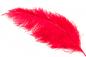Preview: Ostrich feathers, length 25/40 cm, different colours