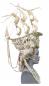 Preview: `La Frégate´ Rococo Hairstyle of a Lady 1778, custom made wig
