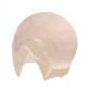 Preview: Theatre foundation with silicone bald