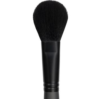 Artist Powder Brush 2