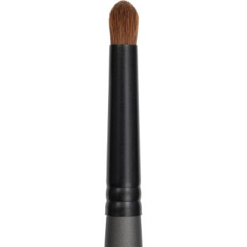 Artist Eye Shadow Brush 2