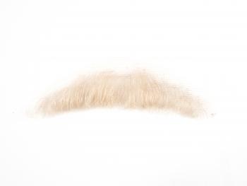 Moustache, Short