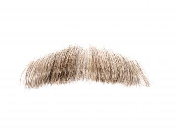 Moustache, Short