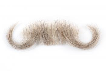 Moustache, Long