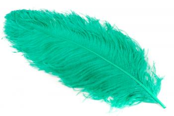 Ostrich feathers, length 50/55 cm, different colours