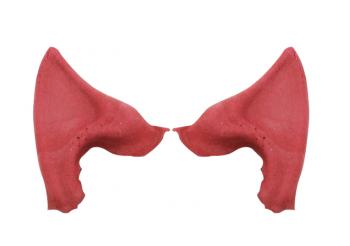 Ear Tips