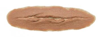 Wound 2
