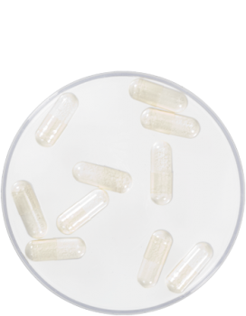 Foam Capsules - 10 pieces