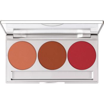 Professional Trio Blusher Set - 7,5 g - Allure