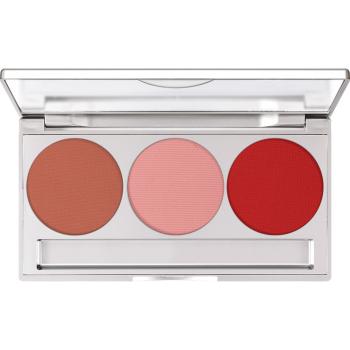 Professional Trio Blusher Set - 7,5 g - Statement