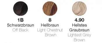 Wig Biedermeier Man