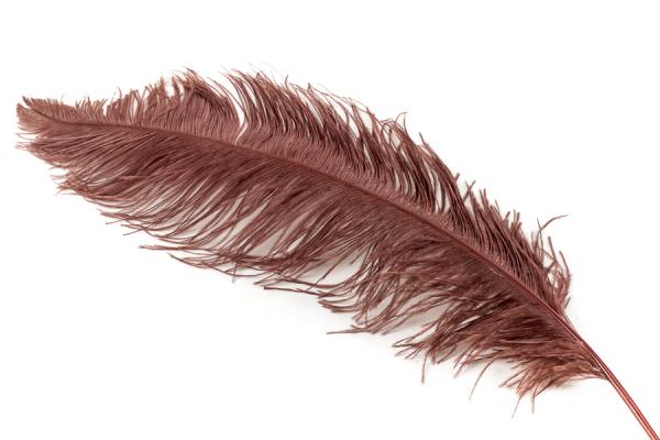 Ostrich feathers, length 50/55 cm, different colours