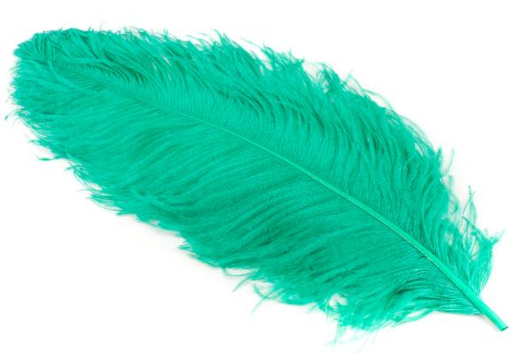 Ostrich feathers, length 50/55 cm, different colours