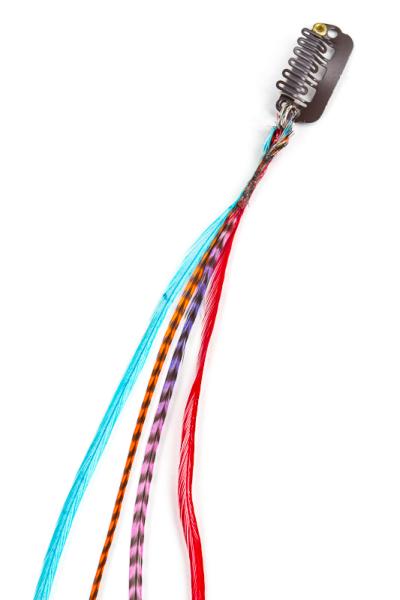 Feather-Extensions - with hair-click, colourful