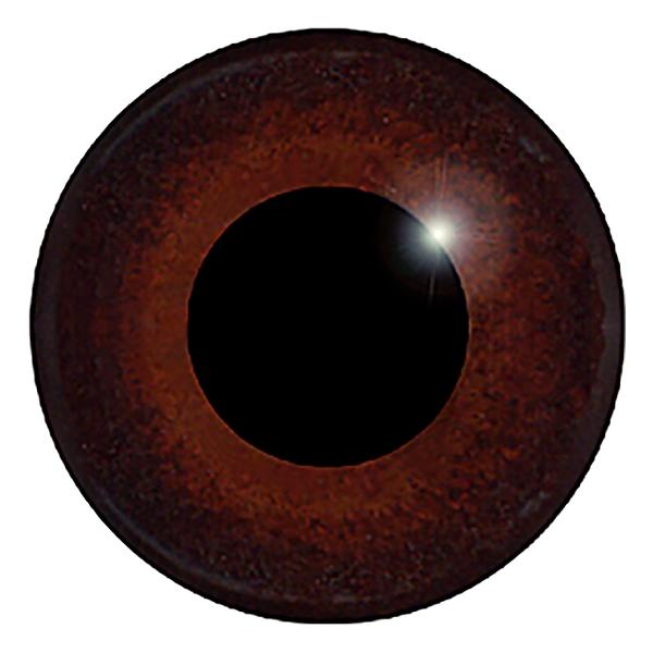 Glas-Vogelaugen, auf Draht, 12 mm